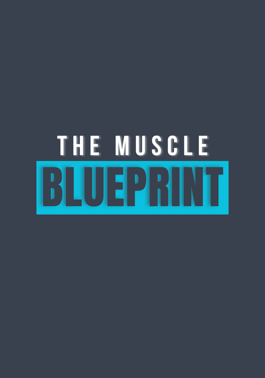 The Muscle Blueprint - An Optimised Workout Program